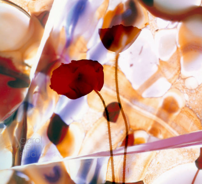 Abstraction