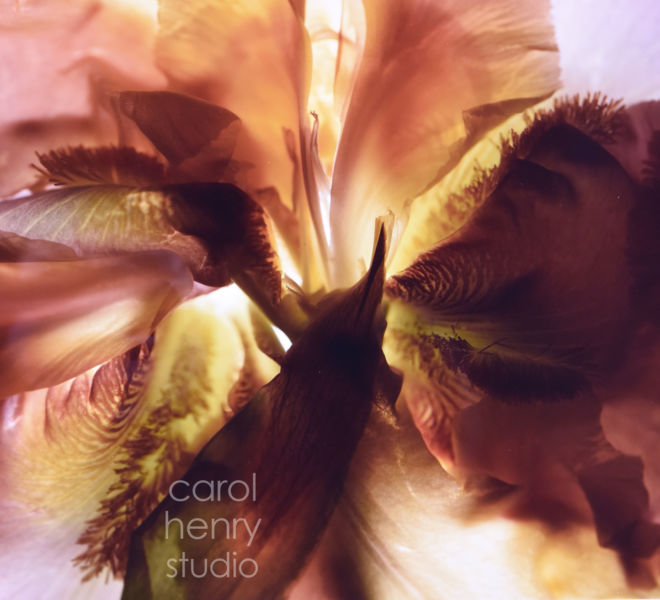 Iris Edge