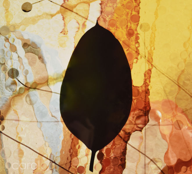 Leaf Shadow