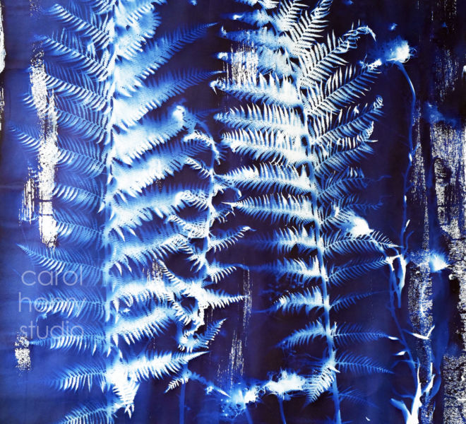 Moonlight Ferns